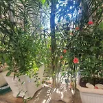 Moj Mir Apartamento Betina (Sibenik-Knin)