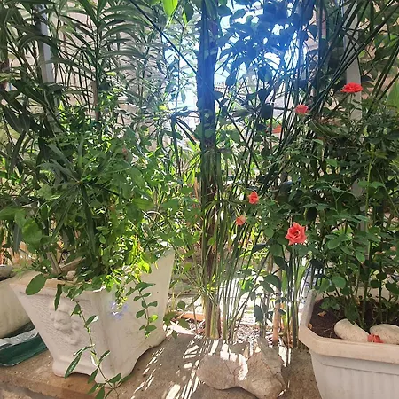 Moj Mir Apartman Betina