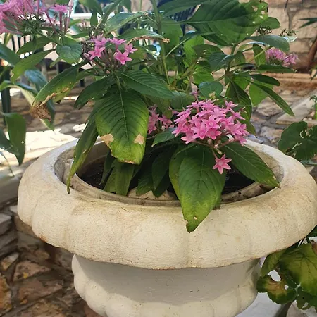 Appartamento Moj Mir *